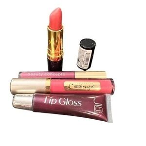 Lot Of 4 Lipstick Lipgloss Revlon 423 Pink Velvet Cherimoya JLB Beauty‎ Concepts